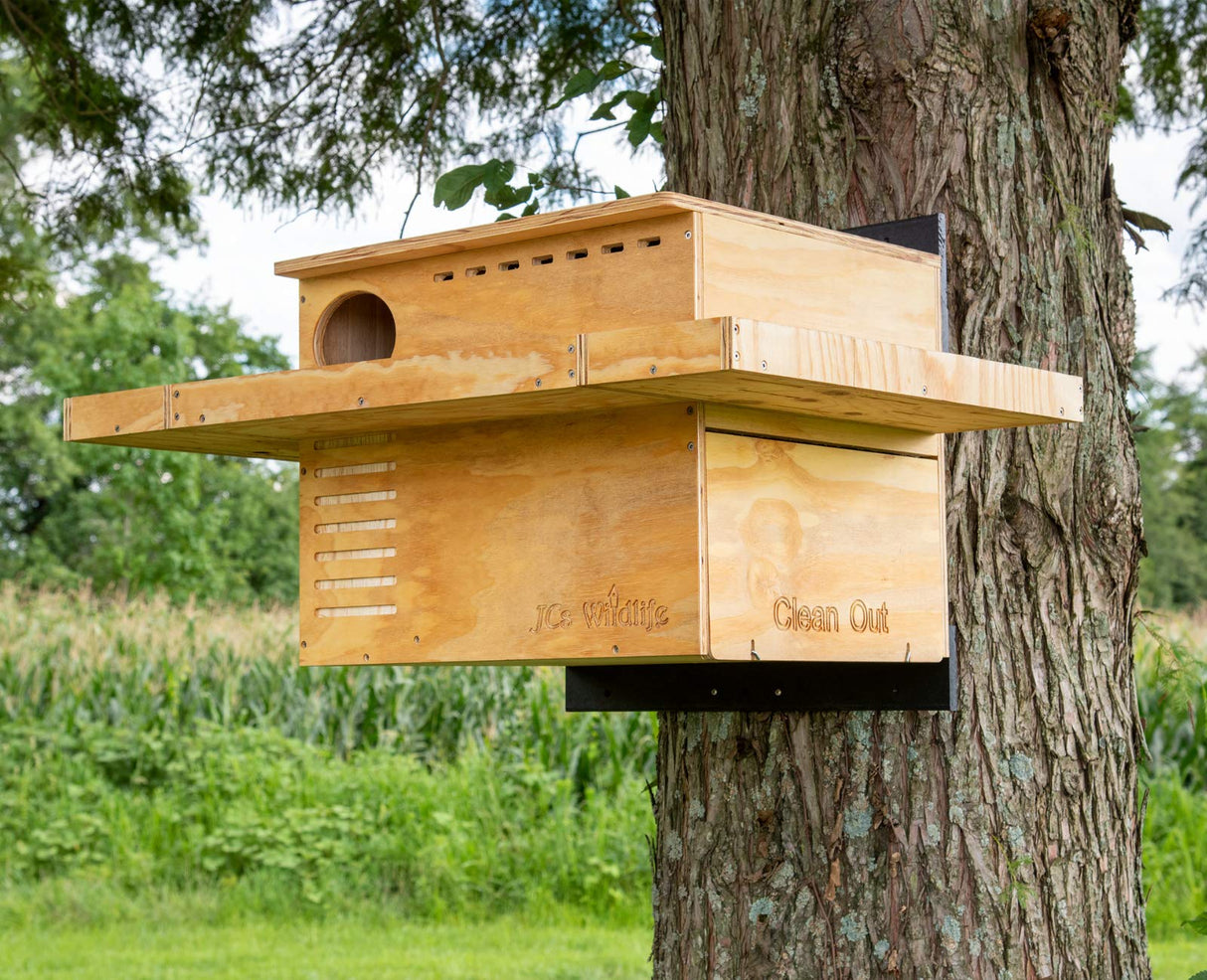 JCS Wildlife 3 Sided Platform Barn Owl Nesting Box mounted on a tree to protect from predators