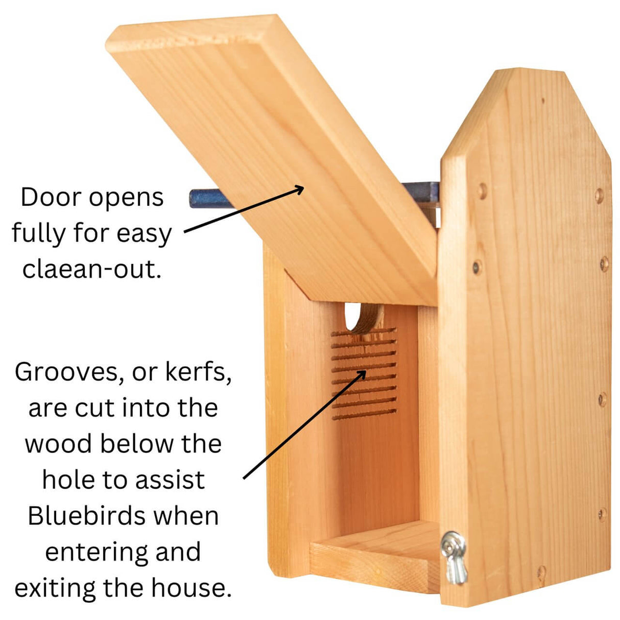 JCS Wildlife Cedar Wood Bluebird House showing open door and grooves for easy access for bluebirds.