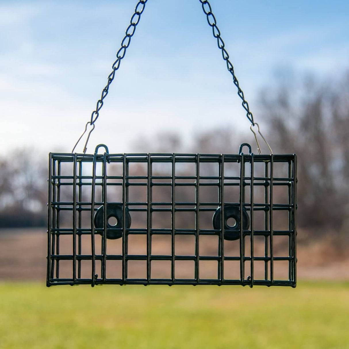 JCS Wildlife Double Suet Feeder Cage hanging outdoors, designed for feeding birds with its sturdy wire mesh.