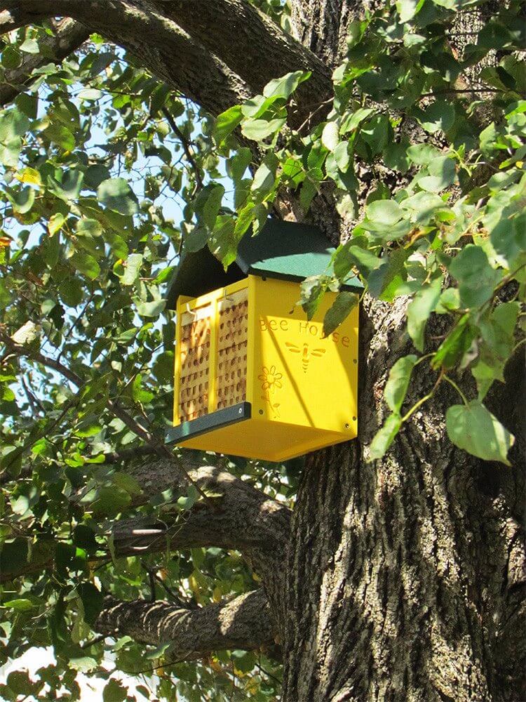 Yellow JCS Wildlife double-wide bee house mounted on a tree trunk for mason bees, handmade from poly lumber and pine.