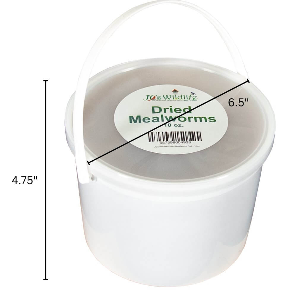 JCS Wildlife Dried Mealworm Pail - 10oz, a white container for high-protein bird food, ideal for attracting insect-eating birds.