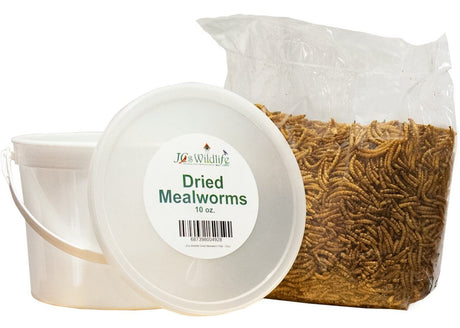 JCS Wildlife Dried Mealworm Pail - 10oz, high-protein mealworms for backyard birds' nutrition.