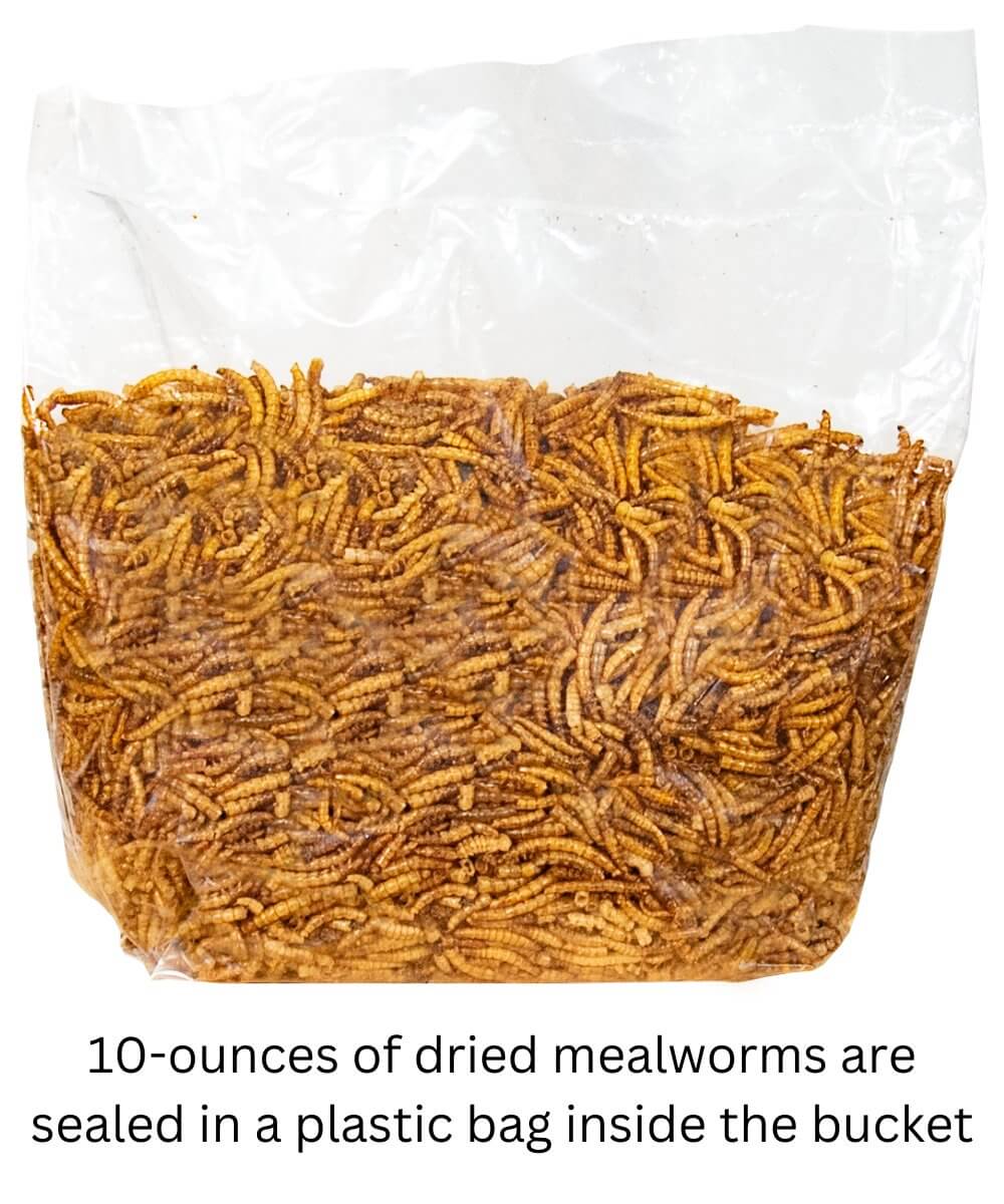 JCS Wildlife Dried Mealworm Pail - 10oz, sealed plastic bag of dried mealworms for backyard birds.