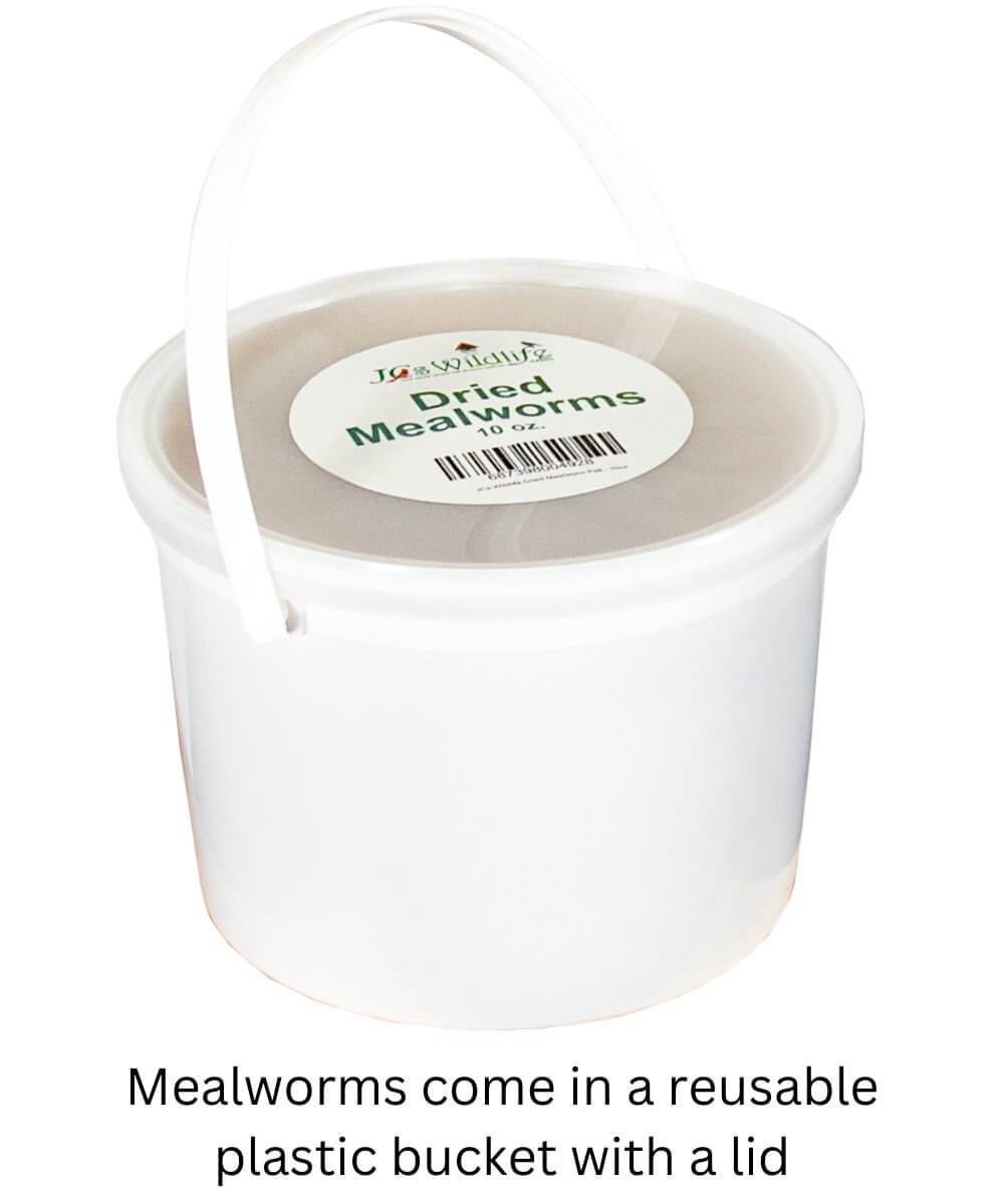 JCS Wildlife Dried Mealworm Pail - 10oz, reusable plastic bucket for bird feed.
