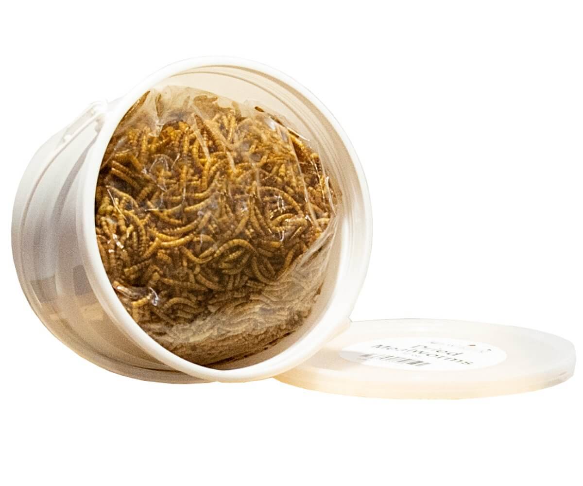 JCS Wildlife Dried Mealworm Pail - 10oz container filled with dried mealworms for backyard birds.