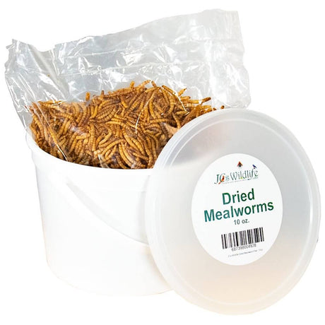 JCS Wildlife Dried Mealworm Pail - 10oz, a container filled with nutritious dried mealworms for backyard birds.