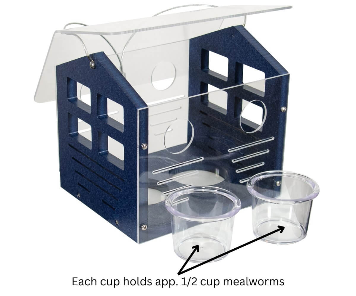 JCS Wildlife Enclosed Bluebird Feeder 2.0 with mealworm cups for bluebirds, featuring protected entry holes.