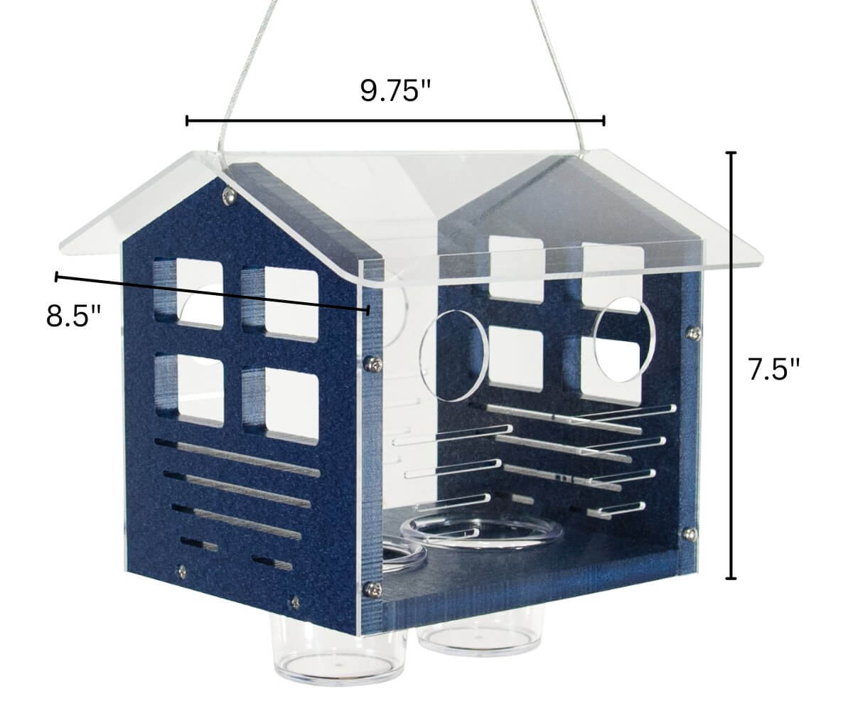 JCS Wildlife Enclosed Bluebird Feeder 2.0 with acrylic design and size dimensions, ideal for bluebirds.