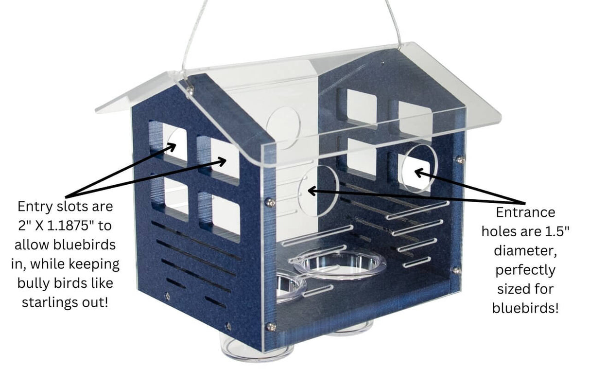 JCS Wildlife Enclosed Bluebird Feeder 2.0 showing entry slots for bluebirds and design to keep larger birds out.