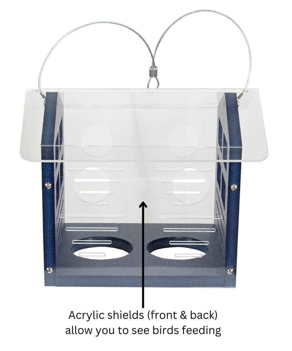 JCS Wildlife Enclosed Bluebird Feeder 2.0 showing acrylic shields for bird visibility and multiple entrance holes for easy feeding