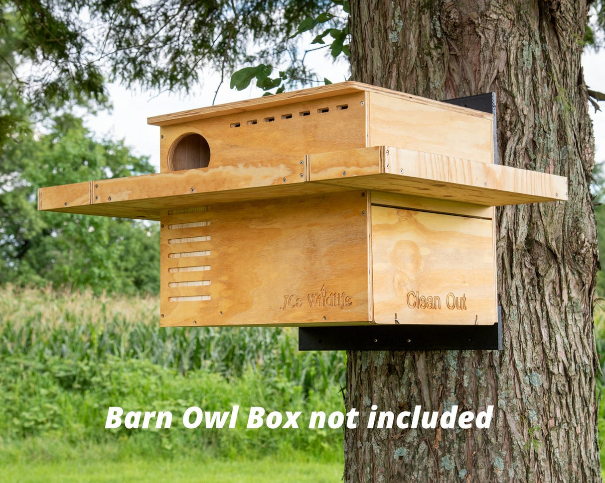 JCs Wildlife exercise platform mounted on tree for barn owl nesting box, barn owl box not included