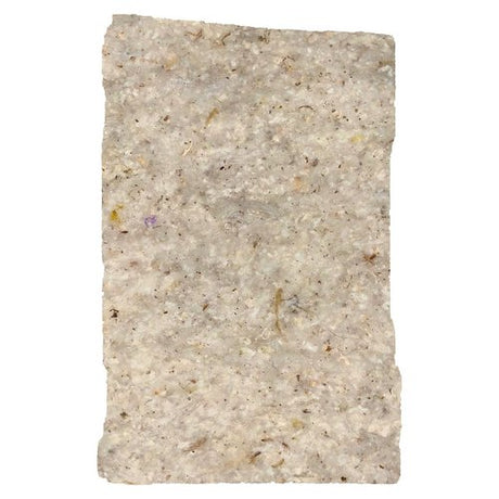 JCs Wildlife Hummingbird Nest Material Refill for Nester Builder