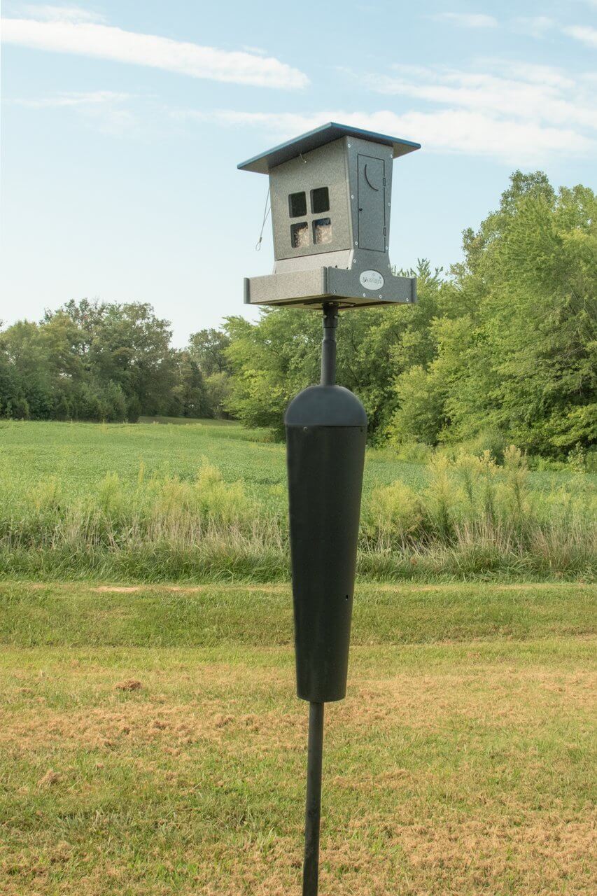 JCS Wildlife Large Poly Outhouse Feeder with Petey the Pooper and sturdy design in a natural setting.