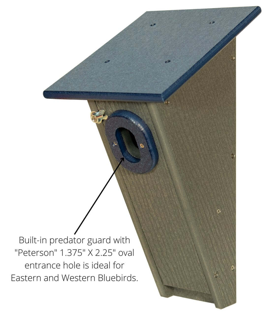 JCS Wildlife Peterson Bluebird House in gray and blue with predator guard for Eastern and Western Bluebirds.