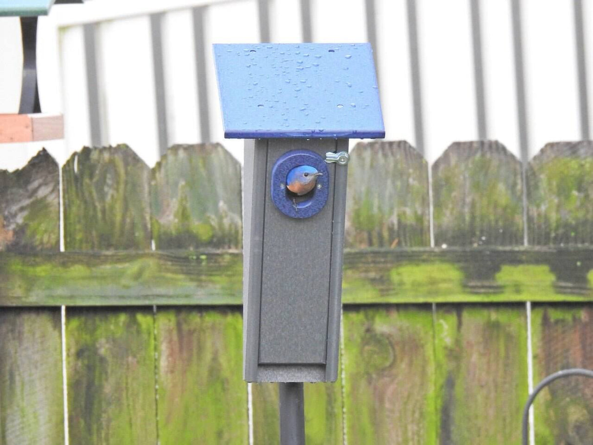 JCS Wildlife Peterson Bluebird House in gray and blue, featuring a blue bird perched at the entrance.