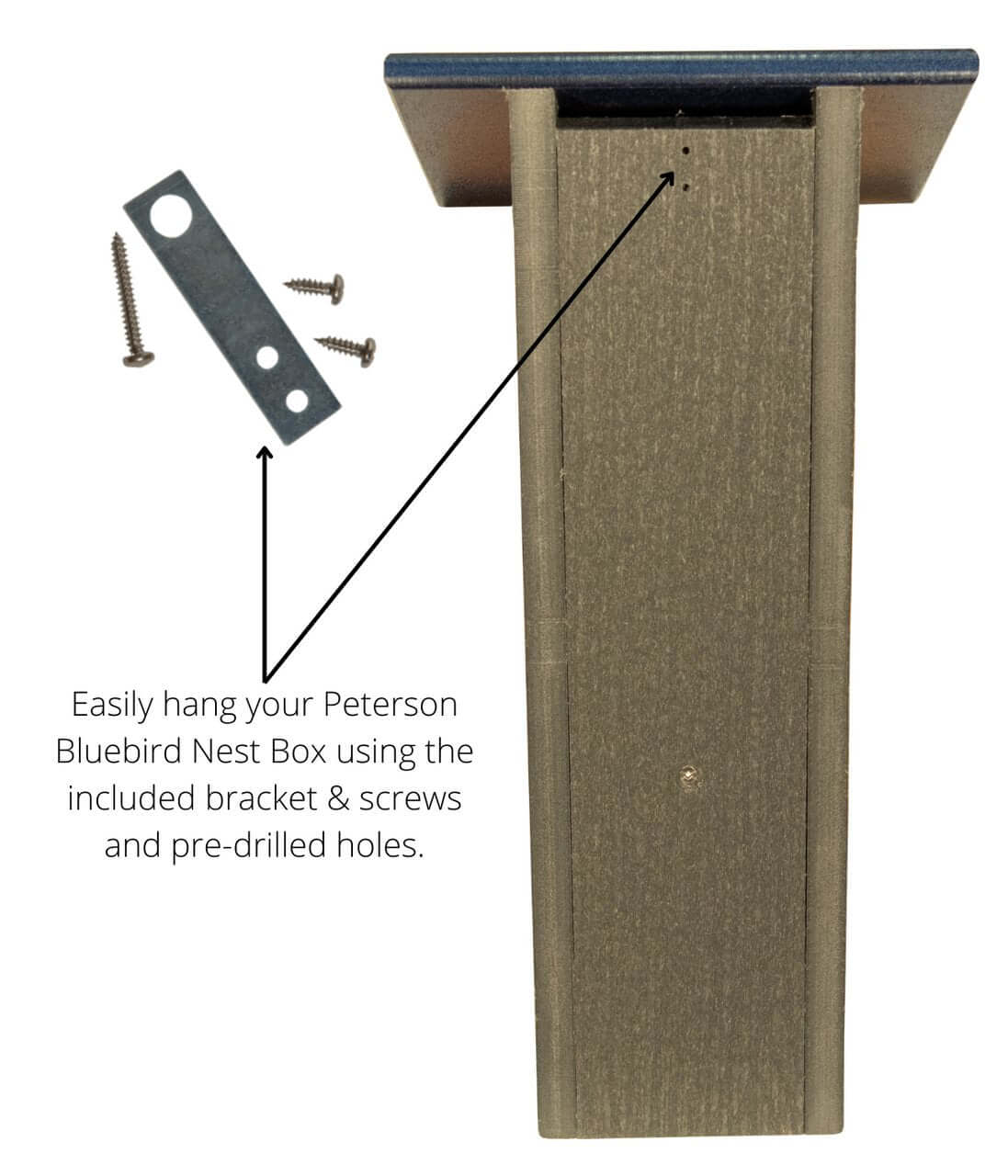 Installing JCS Wildlife Peterson Bluebird House with included bracket and screws for easy setup.