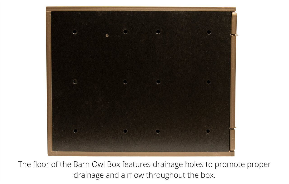 Floor of JCS Wildlife Poly Barn Owl Nesting Box with drainage holes for airflow and moisture control.
