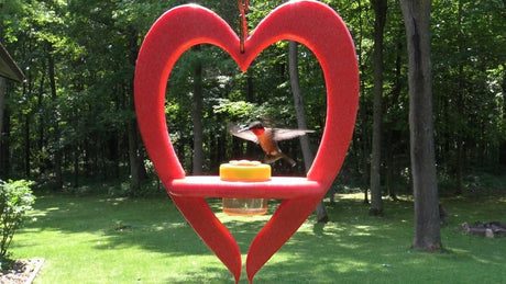 JCs Wildlife Poly Lumber Heart Hummingbird Feeder with Red Nectar DOTS - JCS Wildlife
