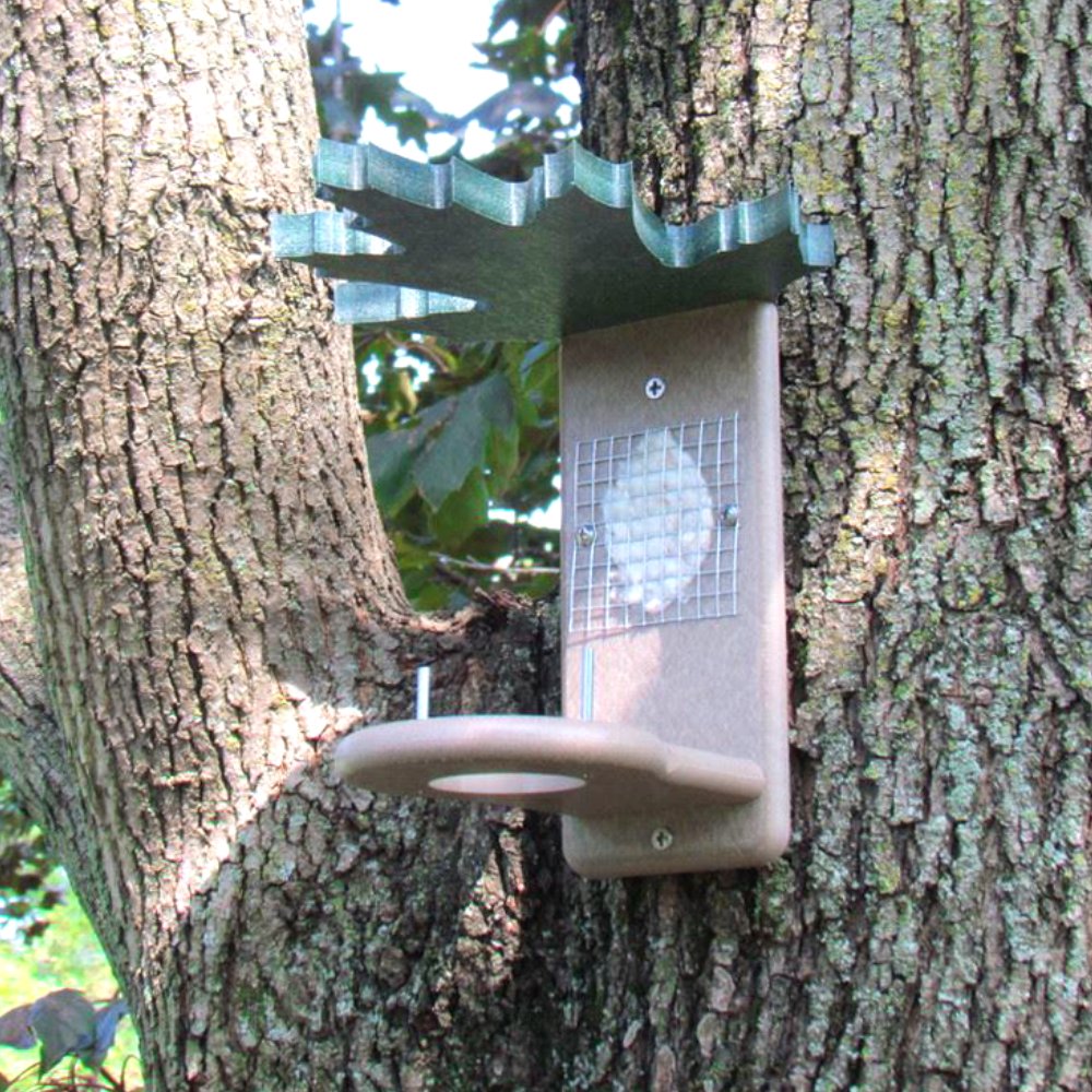 JCS Wildlife Poly Lumber Hummingbird Nest Builder mounted on a tree, providing materials and shelter for hummingbird nests.