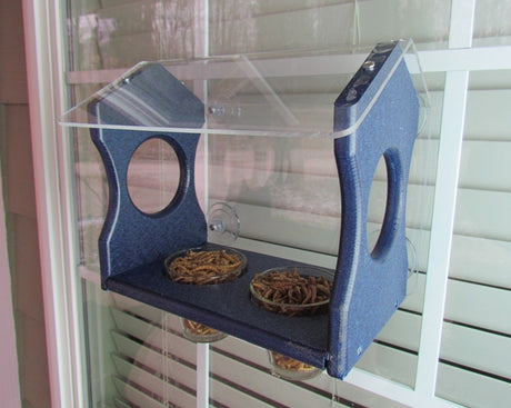JCS Wildlife Recycled Poly Bluebird Window Mealworms Feeder Diner - JCS Wildlife