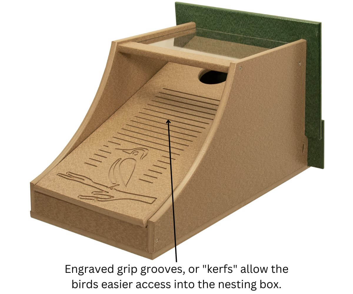 JCS Wildlife Recycled Poly Lumber Northern Flicker House with grip grooves for easy bird access.