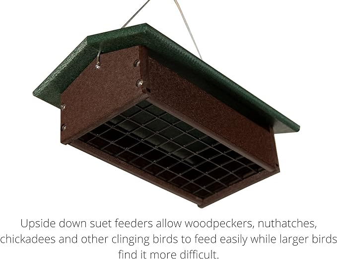 JCS Wildlife Recycled Poly Upside Down Double Suet Feeder for woodpeckers, nuthatches, chickadees, and clinging birds with lifetime guarantee.