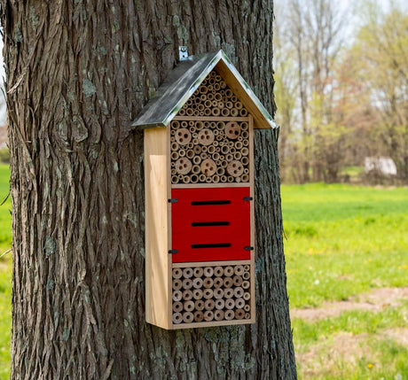 JCS Wildlife Tall Insect Hotel hanging on a tree, designed for Mason Bees, Leaf-Cutter Bees, and Lacewings.