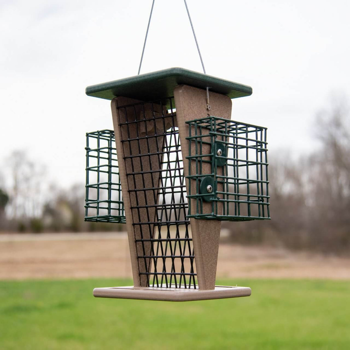 JCS Wildlife Whole Peanut Feeder with 2 suet cages hanging in a garden, perfect for woodpeckers and peanut-loving birds.