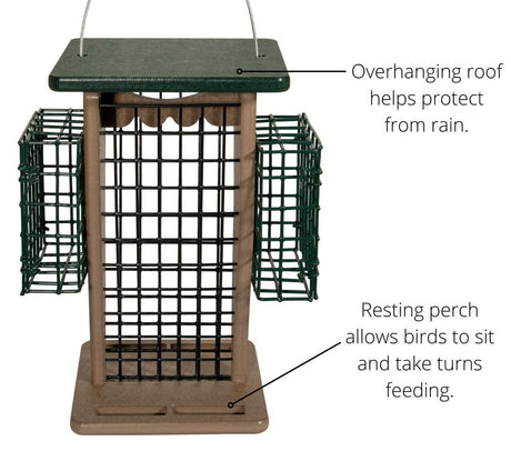 JCS Wildlife Whole Peanut Feeder featuring overhanging roof and suet cages for woodpeckers and peanut-loving birds.