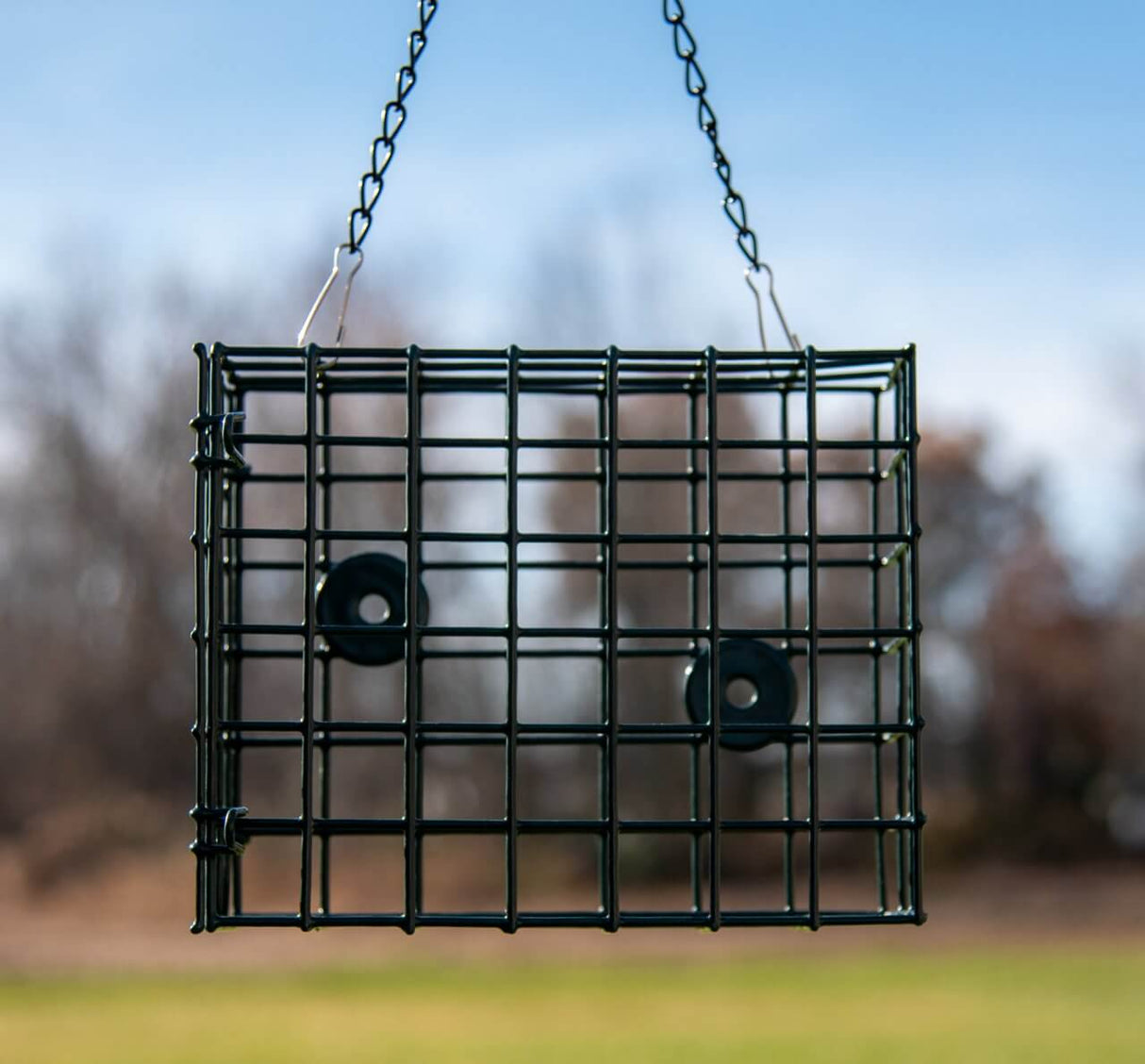 JCS Wildlife XL Suet Feeder Cage hanging in outdoor setting, designed for feeding birds their favorite suet treats.