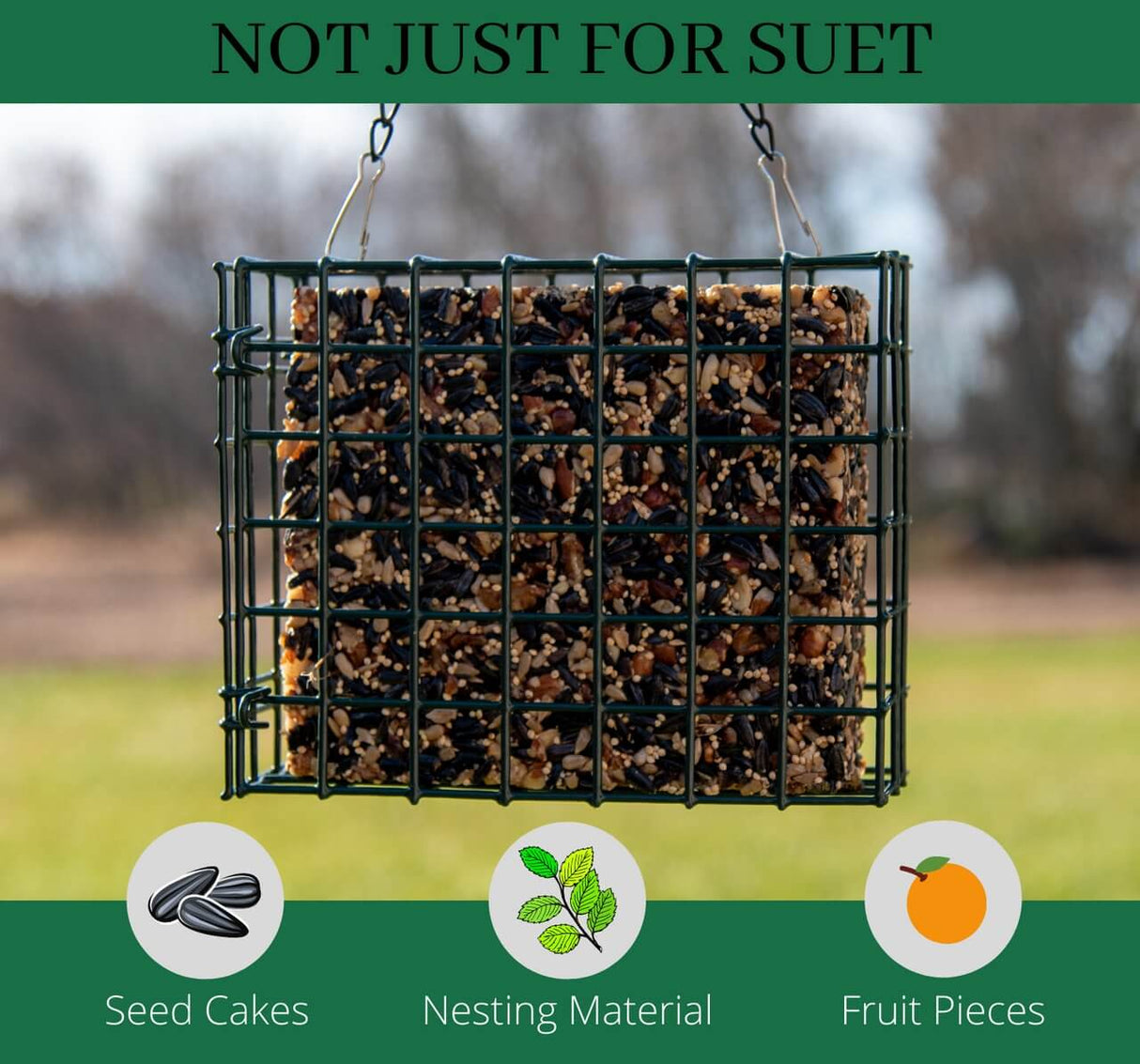 JCS Wildlife XL Suet Feeder Cage displaying seed cakes, nesting material, and fruit pieces for bird feeding.