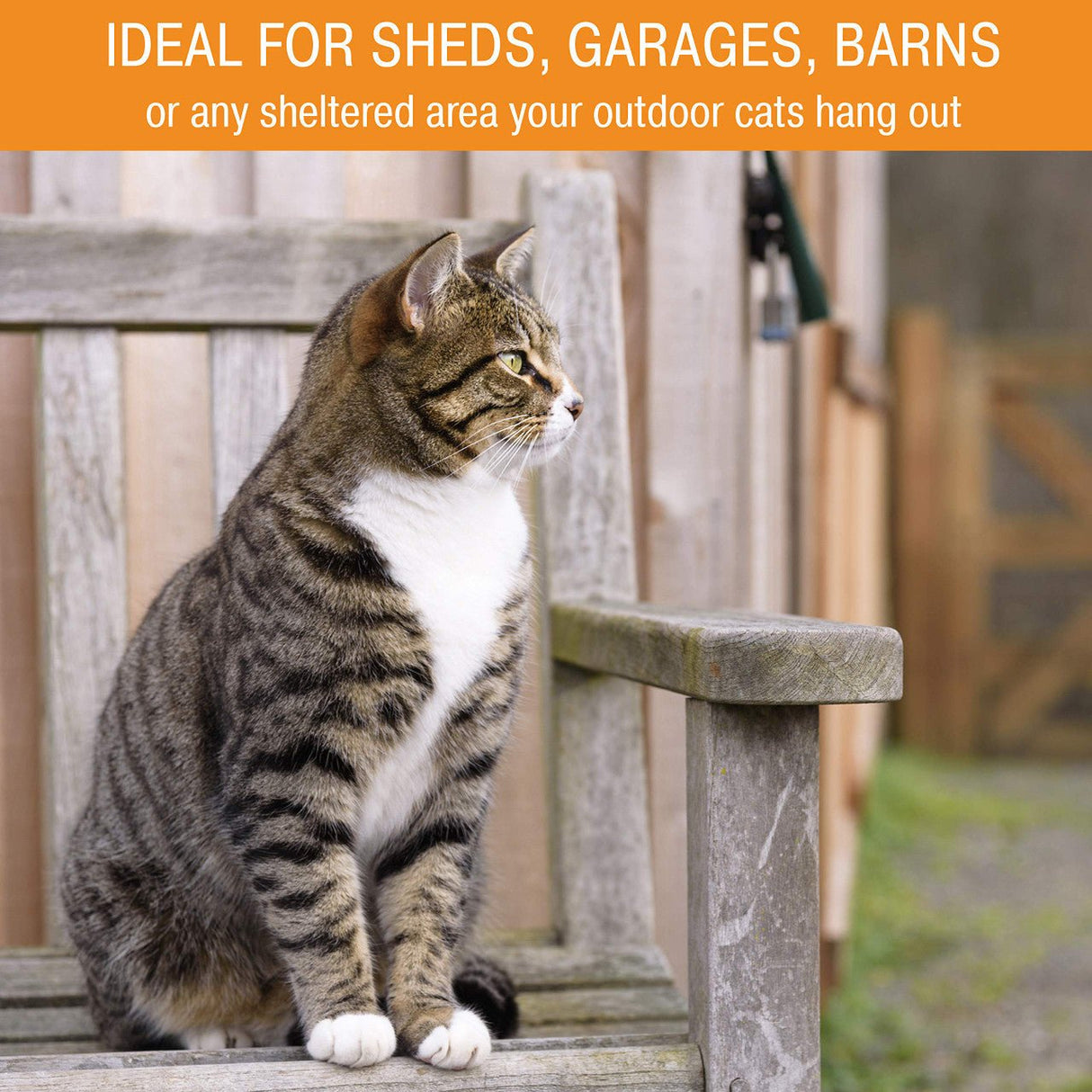 Cat sitting on a wooden bench with text indicating ideal places for using the K&H Outdoor Heated Kitty House such as sheds, garages, and barns.