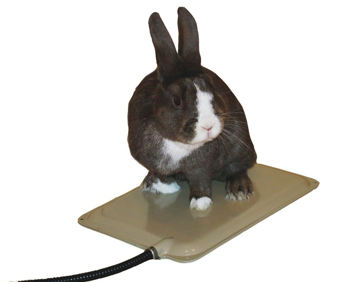 Rabbit sitting on K&H Pet Products Small Animal Indoor/Outdoor 9x12 Heated Pad KH1060 for warmth and comfort