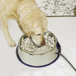 Dog drinking from K&H Pet Products stainless steel heated pet bowl, preventing water from freezing during winter.