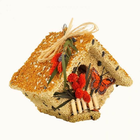 Mr. Bird All Season Wren Casita Wild Bird Seed Birdhouse with butterfly and flower decorations, ideal for backyard birds, 1.5 lbs.