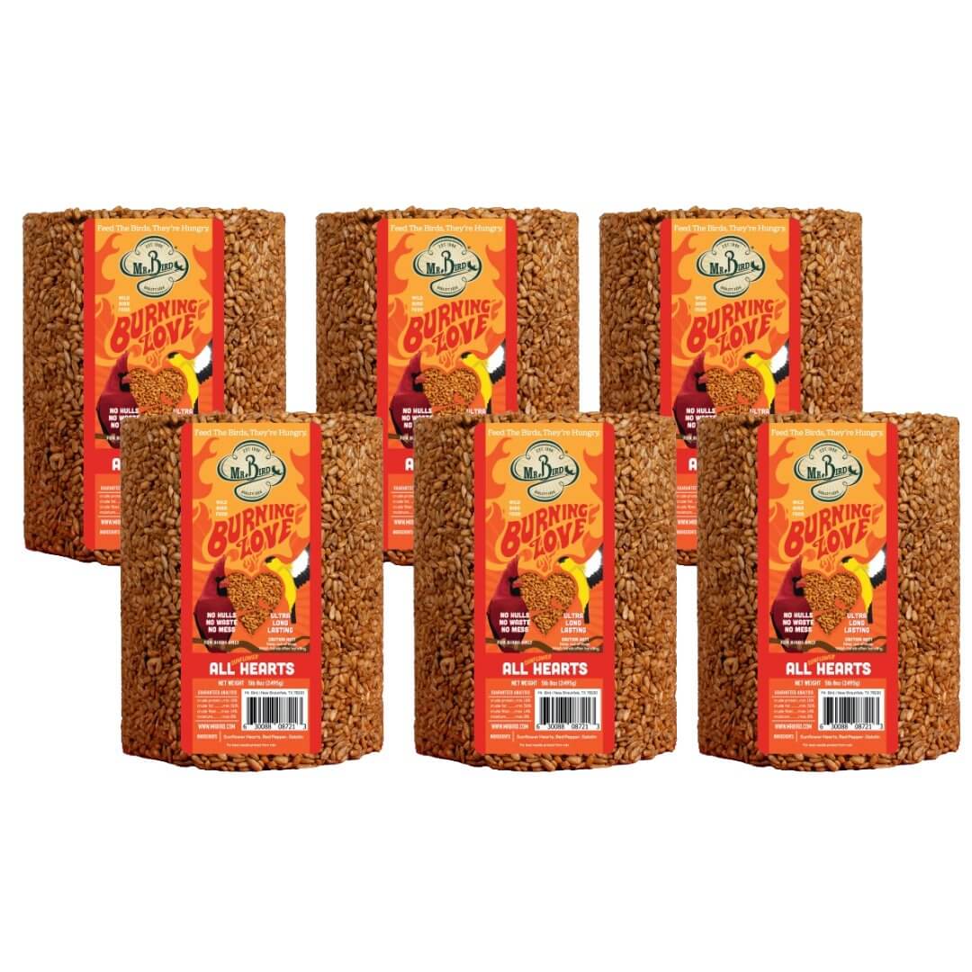 Mr. Bird Burning Love Large Cylinder bird feed, featuring hearts and HOT pepper to attract birds and repel squirrels.