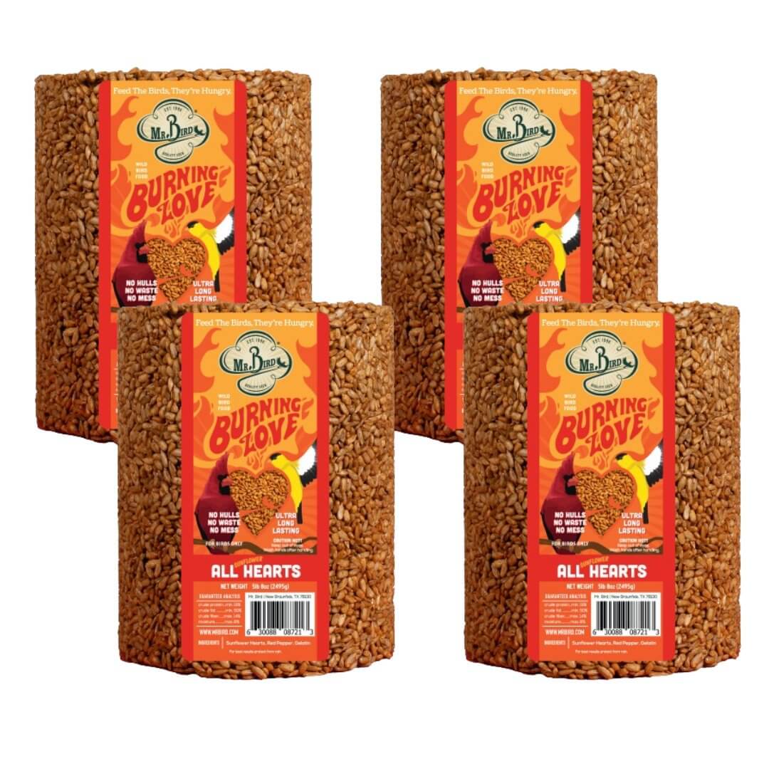 Mr. Bird Burning Love large cylinder bird feed with sunflower hearts and pepper for attracting birds.