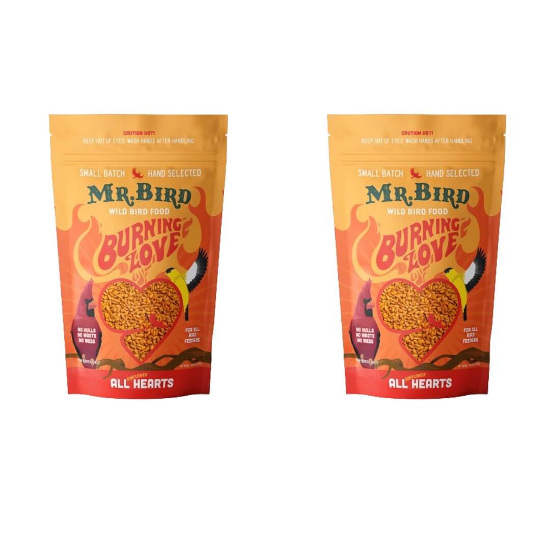 Mr. Bird Burning Love Wild Bird Seed 4-lb pack with vibrant packaging featuring hearts and bold colors.