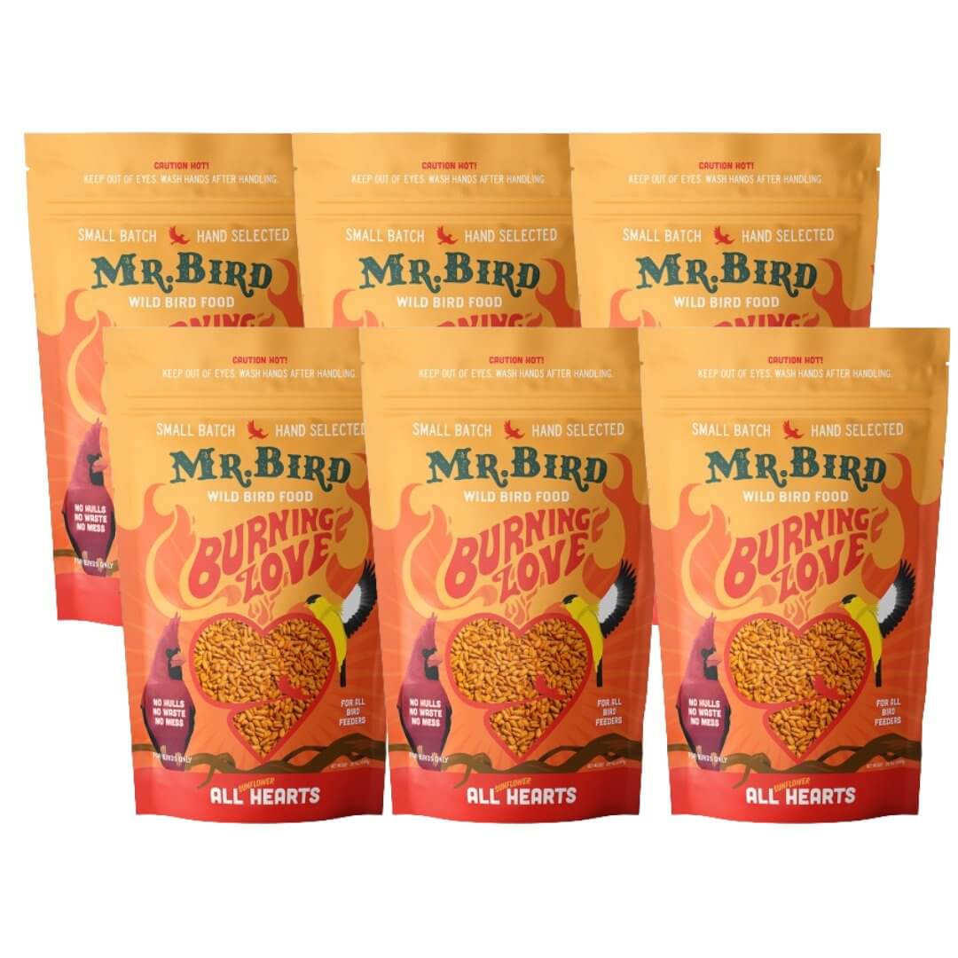 Mr. Bird Burning Love Wild Bird Seed, 4-lb bags designed for attracting birds while deterring squirrels.