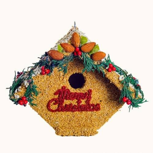 Festive juniper birdhouse covered in birdseed, with "Merry Christmas" sign, almonds, kiwi, safflower, and millet decoration.