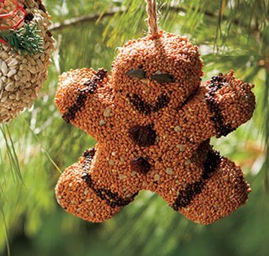 Bird Seed Gingerbread Man ornament made of Red Millet, Sunflower Hearts, and Cranberries hanging on tree, great gift for bird lovers