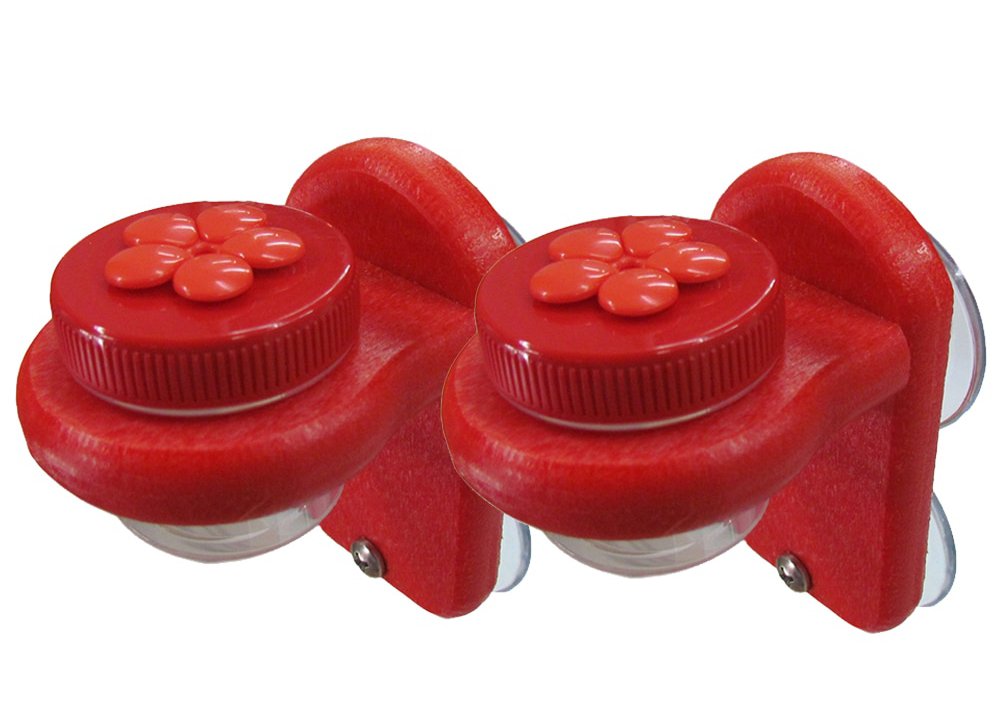 Window-mounted hummingbird feeder with two red Nectar DOTS, each featuring red flower designs for attracting hummingbirds.