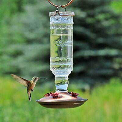 Antique glass hummingbird feeder with 10-ounce capacity and 4 feeding ports, featuring a hummingbird in mid-flight with a background of greenery.