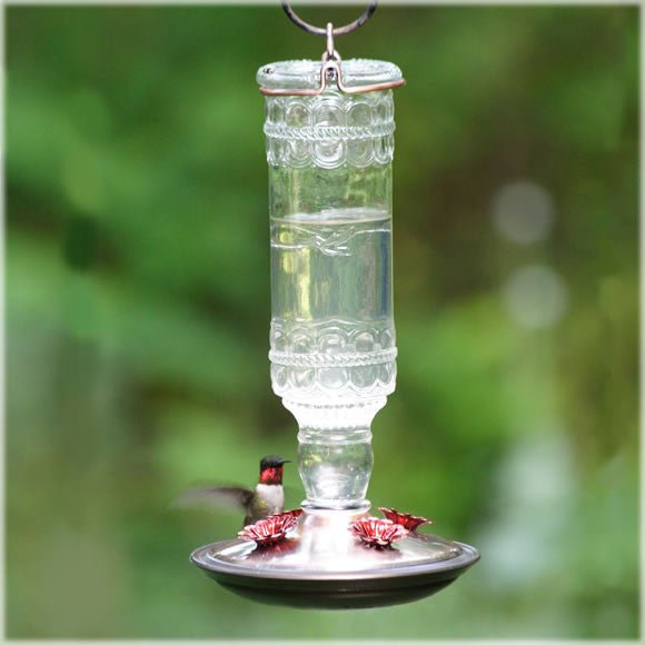 Perky-Pet 8107 Antique Bottle Glass Hummingbird Feeder with clear 10 oz. capacity, 4 feeding ports, and a metal hanger with a hummingbird feeding