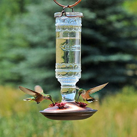 Perky-Pet clear antique glass hummingbird feeder with 10 oz. nectar capacity and two hummingbirds feeding in a garden.