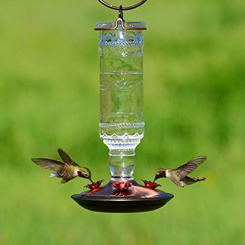 Perky-Pet 8107 Antique Bottle Glass Hummingbird Feeder with 10 oz. capacity and 4 feeding ports, attracting hummingbirds in garden