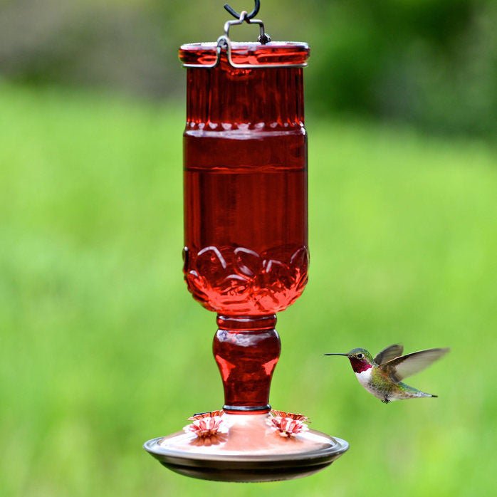 Perky-Pet 8119-2 Red Antique Glass Bottle Hummingbird Feeder 24 oz (1 or 2 Pack) - JCS Wildlife