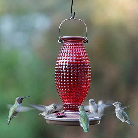 Hummingbirds feeding from a Perky-Pet 8130 Red Hobnail Vintage-Style Glass Hummingbird Nectar Feeder with 4 daisy-style ports