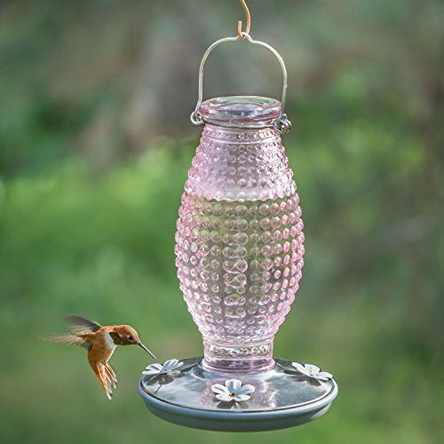 Vintage-style cranberry hobnail glass hummingbird feeder with daisy-style feeding ports and hummingbird feeding in a green garden.