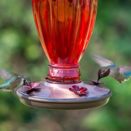 Perky-Pet 8133-2 Red Daisy Vase Vintage-Style Glass Hummingbird Feeder - JCS Wildlife